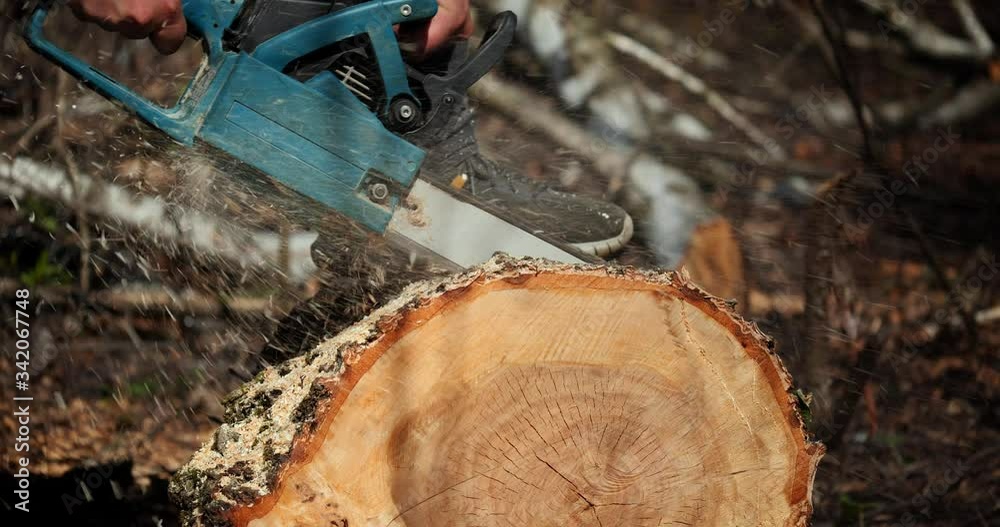Wood cutting a chainsaw. Lumberjack cuts firewood with a saw Wood cutting a chainsaw. Lumberjack cuts firewood with a saw