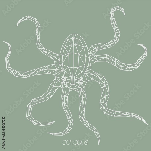Sea octopus origami polygonal vector image
