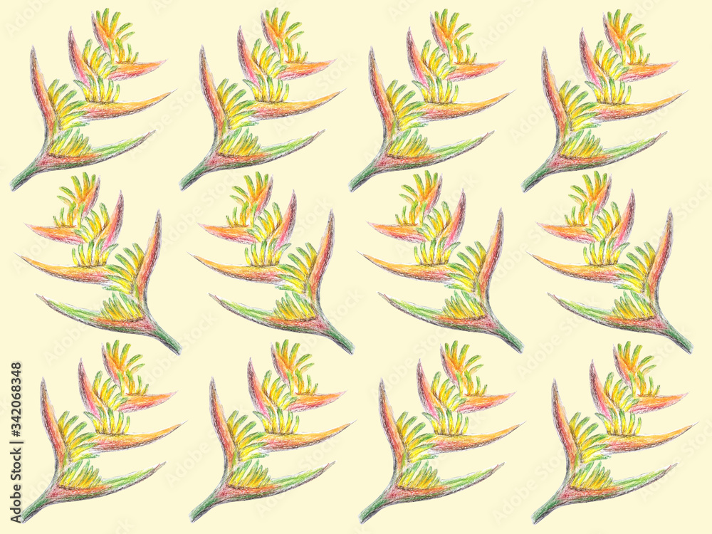 Obraz premium strelitzia pastel drawing on a yellow background