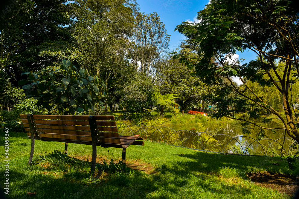 Descanso frente al lago, entre los árboles del bosque. Bogotá Colombia. Descanso frente al lago, entre los árboles del bosque. Bogotá Colombia.