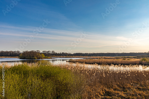 Trauhafte Natur