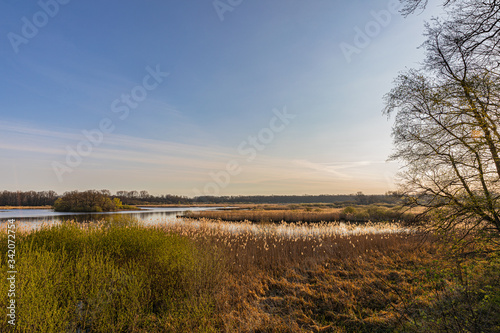 Trauhafte Natur