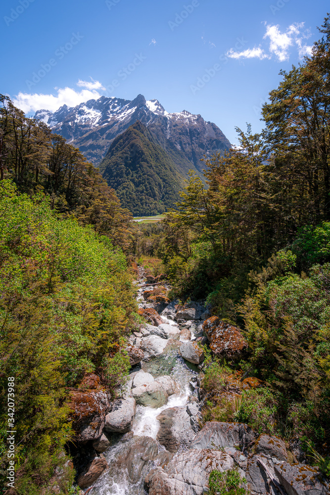 Routeburn Track, Fiordland National Park, New Zealand Routeburn Track, Fiordland National Park, New Zealand
