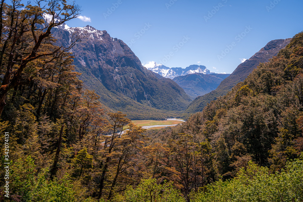 Routeburn Track, Fiordland National Park, New Zealand Routeburn Track, Fiordland National Park, New Zealand