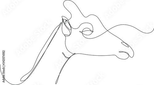 giraffa primo piano, disegnato in unica line continua