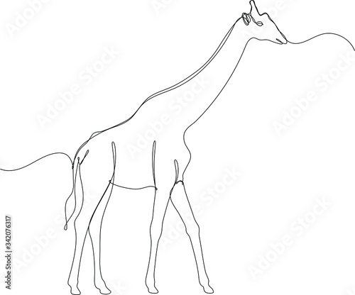 giraffa figura intera, disegnato in unica line continua