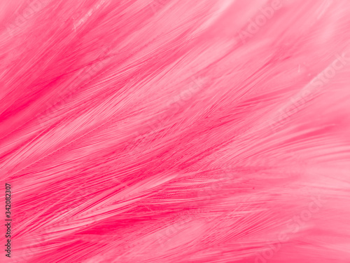 Beautiful abstract white and pink feathers on white background and soft white feather texture on pink  pattern and pink background  feather background  pink banners