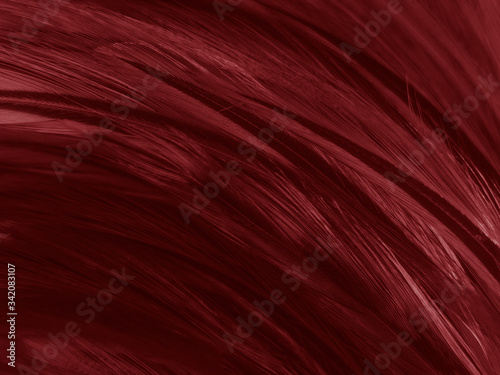 Beautiful abstract white and red feathers on white background and soft white feather texture on red pattern and red background  pink feather background   white banners