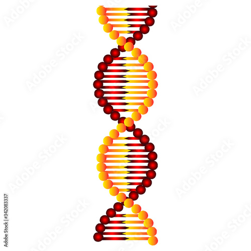 Colorful DNA spirals bright vector illustration 