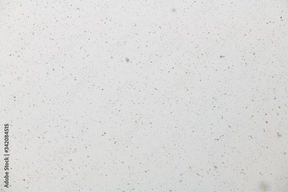 White blurred background with small snowflakes White blurred background with small snowflakes