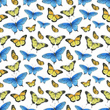 Watercolor seamless pattern with hand painted watercolor butterflies  in bright colors. Romantic floral background perfect for wedding invitation, paper or scrap booking. 