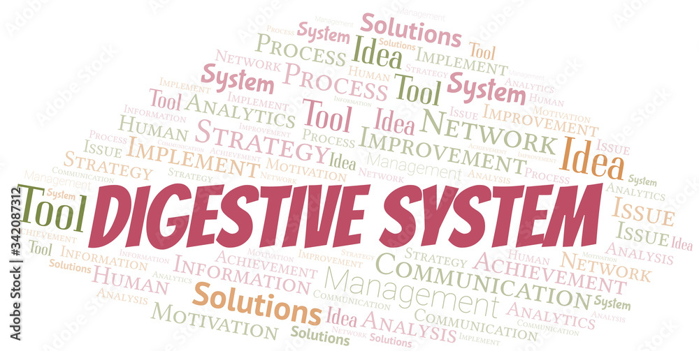 Digestive System typography vector word cloud. Digestive System typography vector word cloud.
