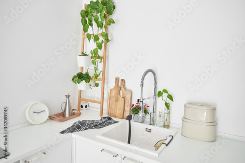 View of the kitchen sink of a minimalist, all-white house with plants