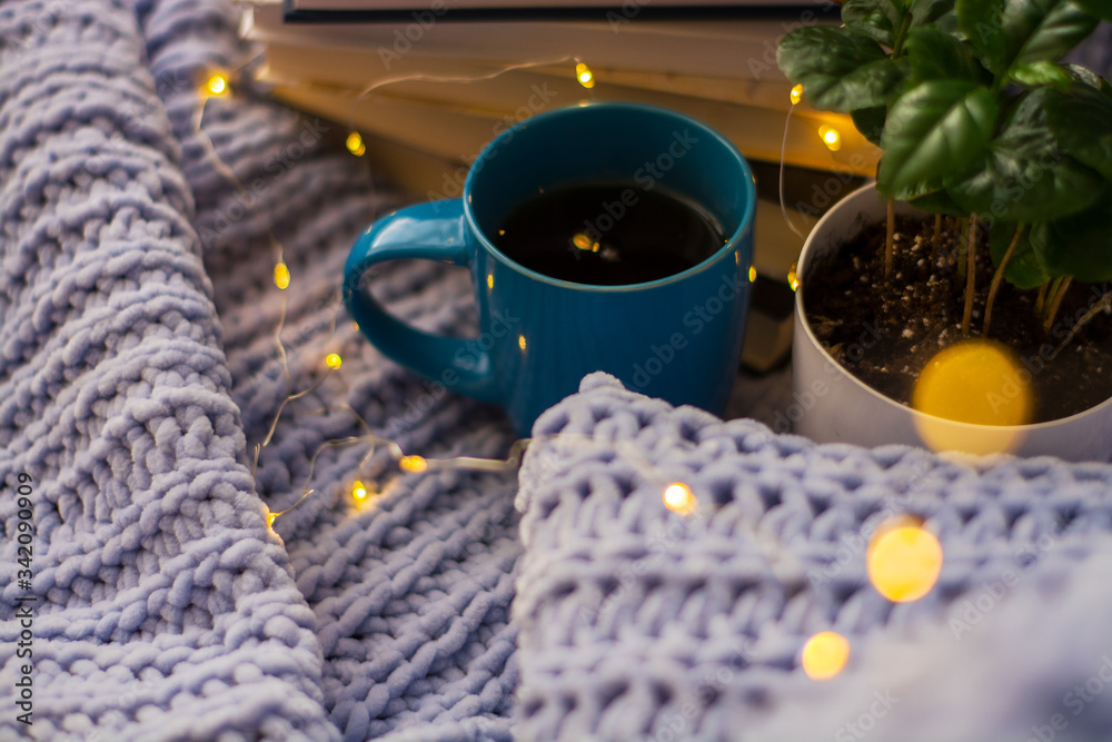 Background of blue knitted plaid and pillows in cosy house with flower in pot and books, mug of tea, a garland. Home place work. Background of blue knitted plaid and pillows in cosy house with flower in pot and books, mug of tea, a garland. Home place work.
