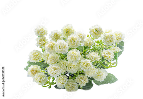 Green Plastic Fake Flower Bouquet White background or isolated
