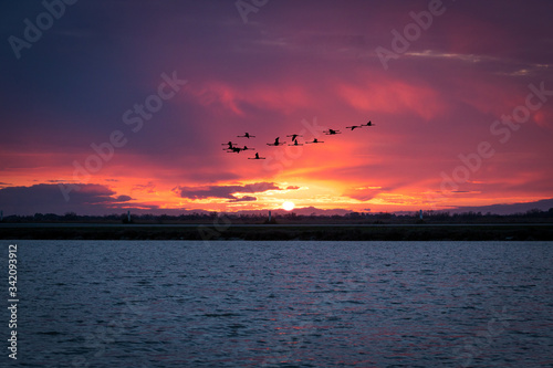 Silhouettes of flock of crane birds flying over calm dark water against colorful cloudy sky during sunset