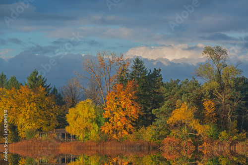 Autumn landscape at sunrise of Whitford Lake with mirrored reflections in calm water, Fort Custer State Park, Michigan, USA