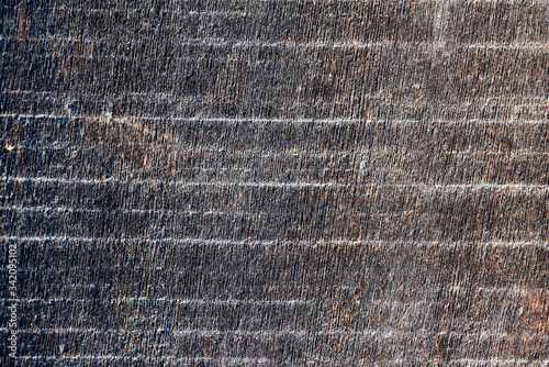 A rough texture with white stripes on a brown tree. macro photo. Beautiful wood contour. abstraction. light and shade.