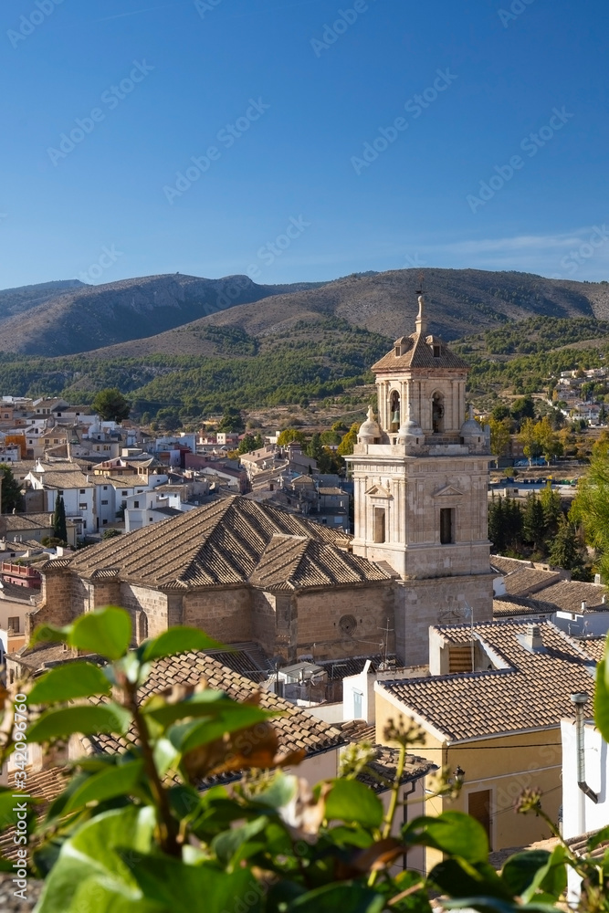  Panorama of the city of Caravaca de la Cruz and conifers in the foreground, a place of pilgrimage near Murcia in Spain