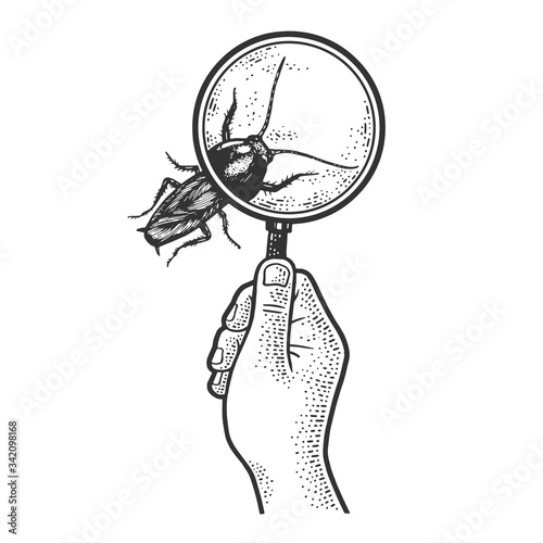 cockroach bug under glass in hand sketch engraving vector illustration. T-shirt apparel print design. Scratch board imitation. Black and white hand drawn image.