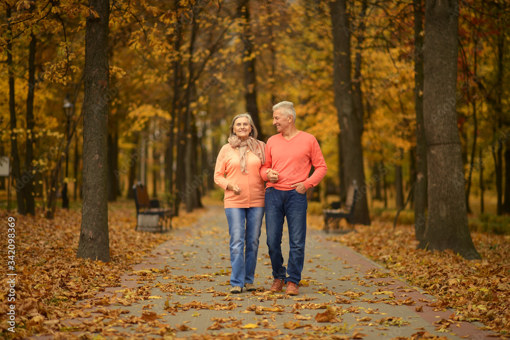 Portrait of beautiful senior couple walking in park Portrait of beautiful senior couple walking in park