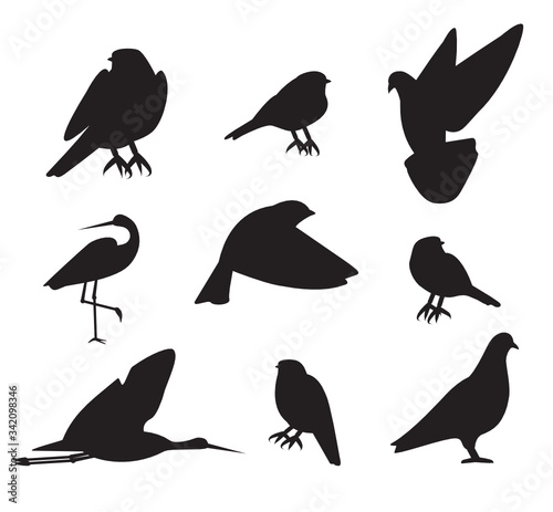Collection of common birds silhouettes  clean and simple vector file for various use.