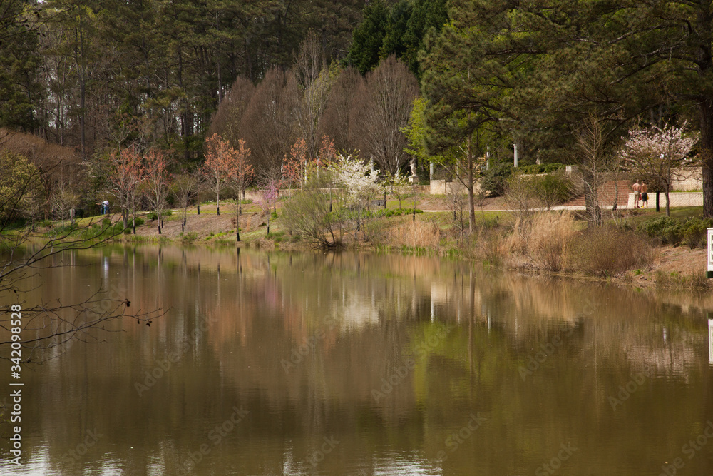 Quiet lake reflecting flowers