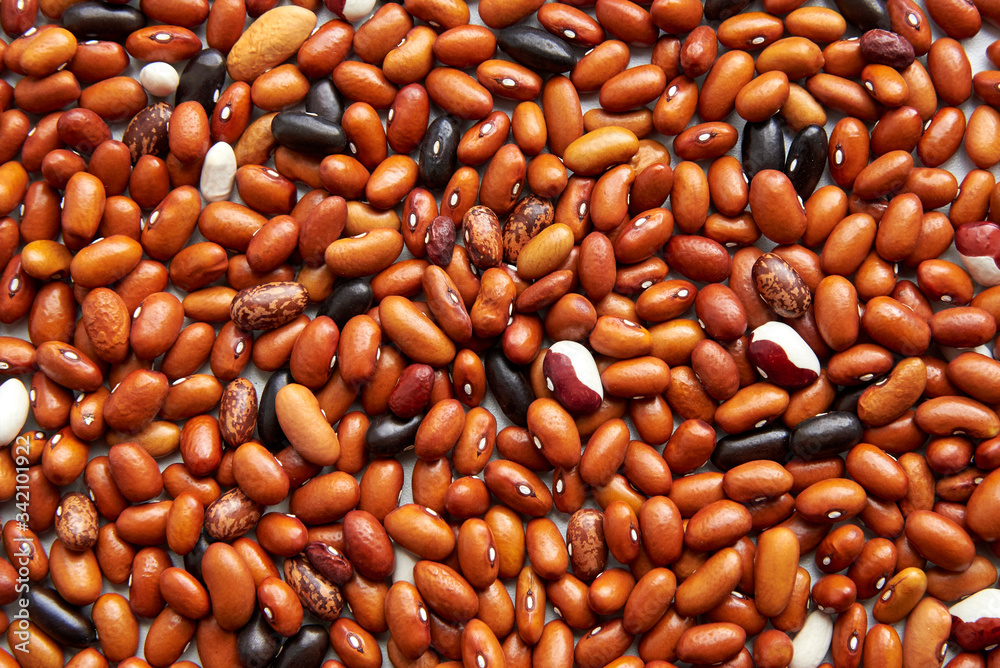 custom made wallpaper toronto digitalBackground from different types of beans, brown, black, spotted beans.