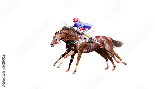 Two Jokey on a thoroughbred horse runs isolated on white background