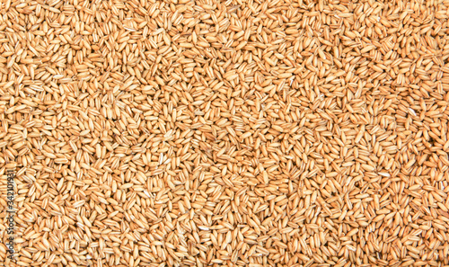 Hafer Korn Körner Getreide Hintergrund Background