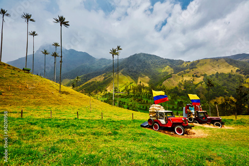 Mountains of Colombia, surrounded by wax palm in Salento photo