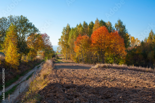 Beautiful autumn landscape of Roztocze region in Poland