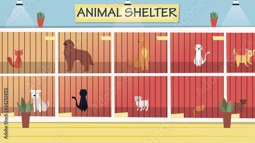 Animal Shelter Concept. Lonely Animals In Cages Wait For The Adoption. Rehabilitation or Adoption Center for Stray Pets. Adoption of homeless animals concept. Cartoon Flat Style. Vector Illustration