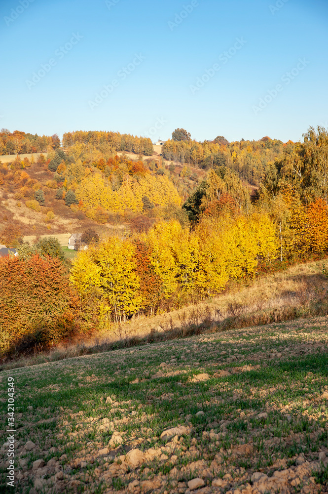 Beautiful autumn landscape of Roztocze region in Poland