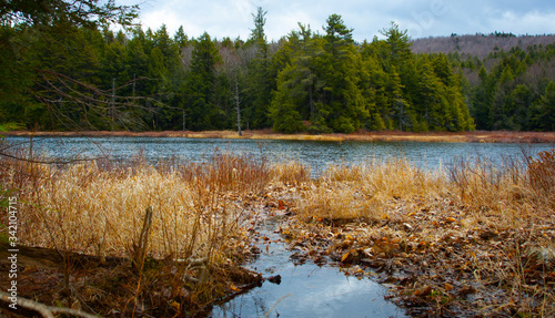 Autumn Shore River Upstate New York Betar Byway Hudson River photo