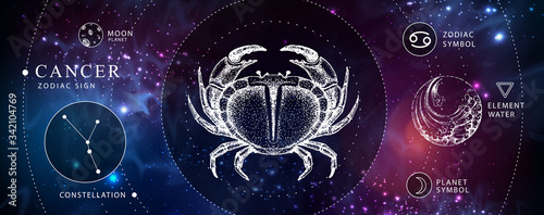 Modern magic witchcraft card with astrology Cancer zodiac sign. Realistic hand drawing crab illustration. Zodiac characteristic