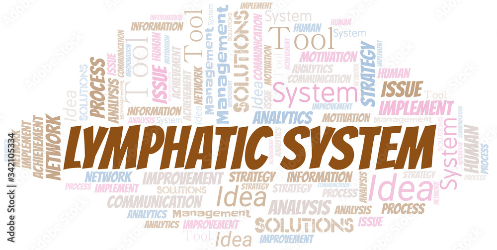 Obraz premium Lymphatic System typography vector word cloud.