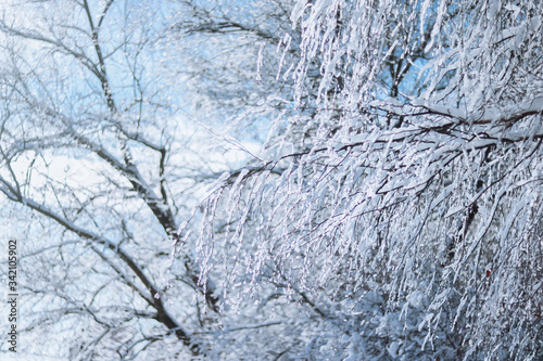 Winter © Анна Анна