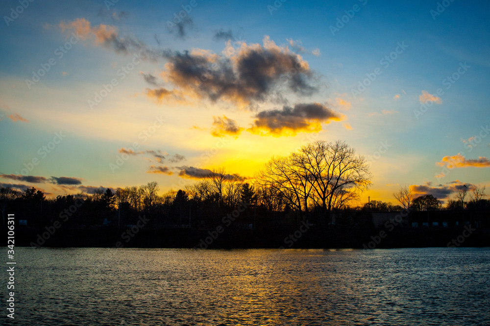 Hudson River Tree in Water Upstate New York Hudson River Tree in Water Upstate New York