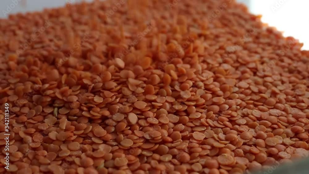 Red lentils dropping with white background Red lentils dropping with white background