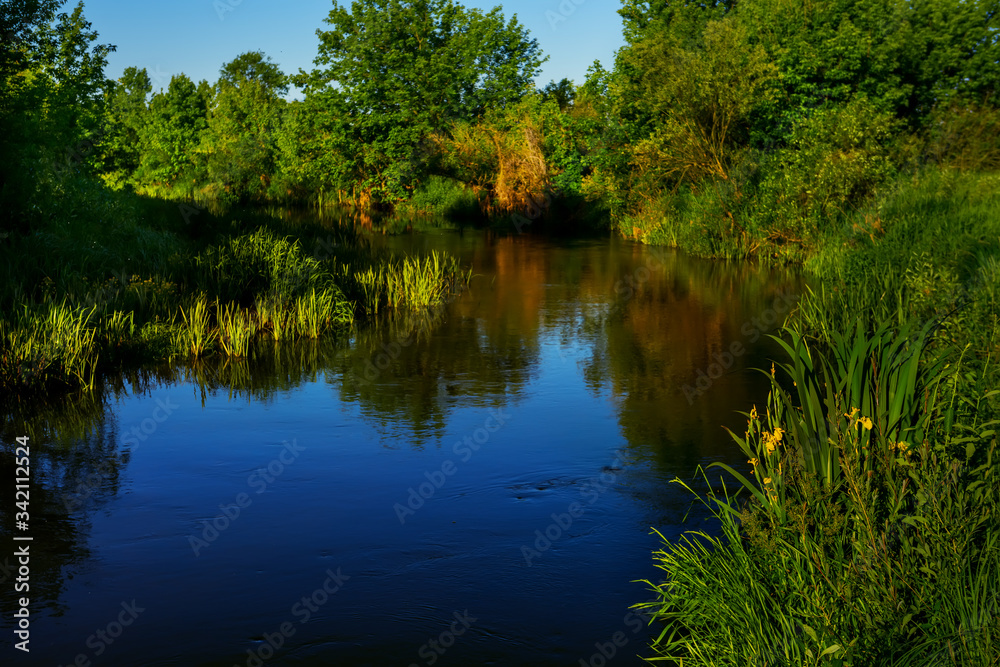 River with overgrown green banks on a summer, spring day. River with overgrown green banks on a summer, spring day.
