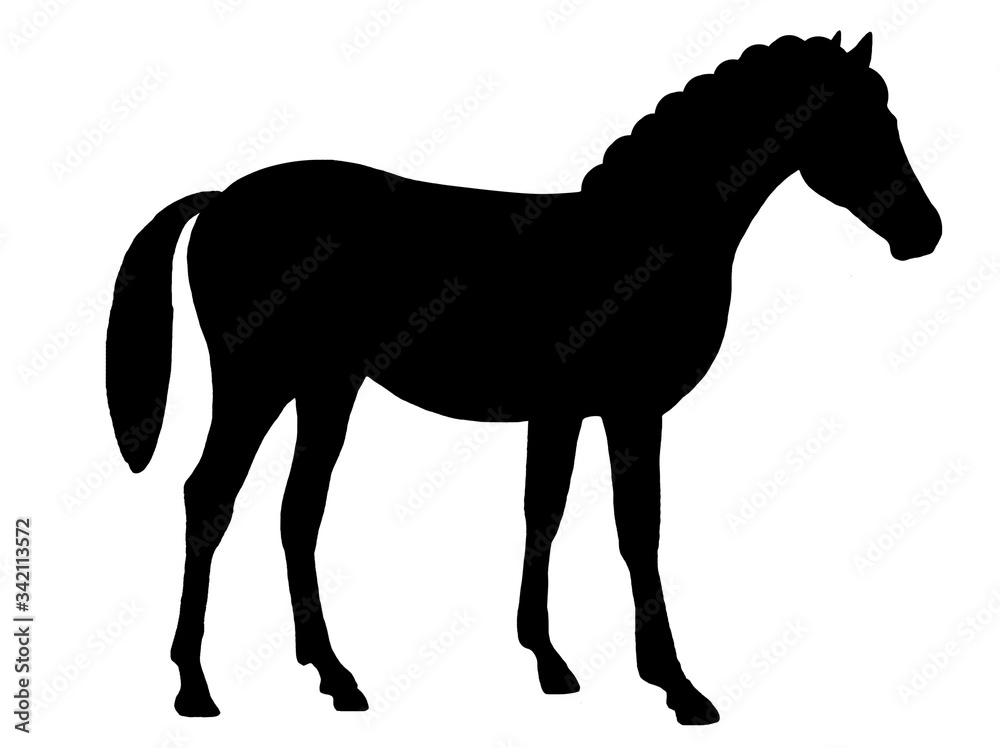 Black silhouette of a horse isolated on a white background.