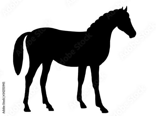 Black silhouette of a horse isolated on a white background.