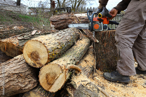 A farmer on his farm saws saws to heat a house in the winter season. Pile of logs for kindling. Eco-friendly fuel.