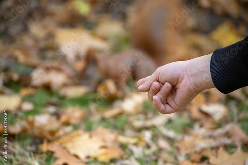  child's hand pointing something with a finger on a brown blurred background