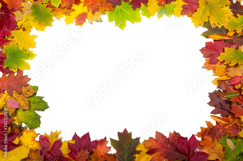 Orange, yellow and green autumn leaves isolated on white background