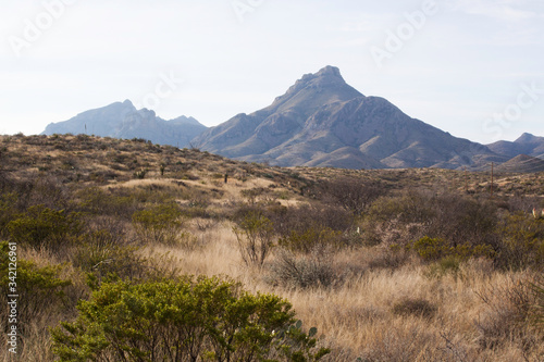 Desert Mountain with cactus