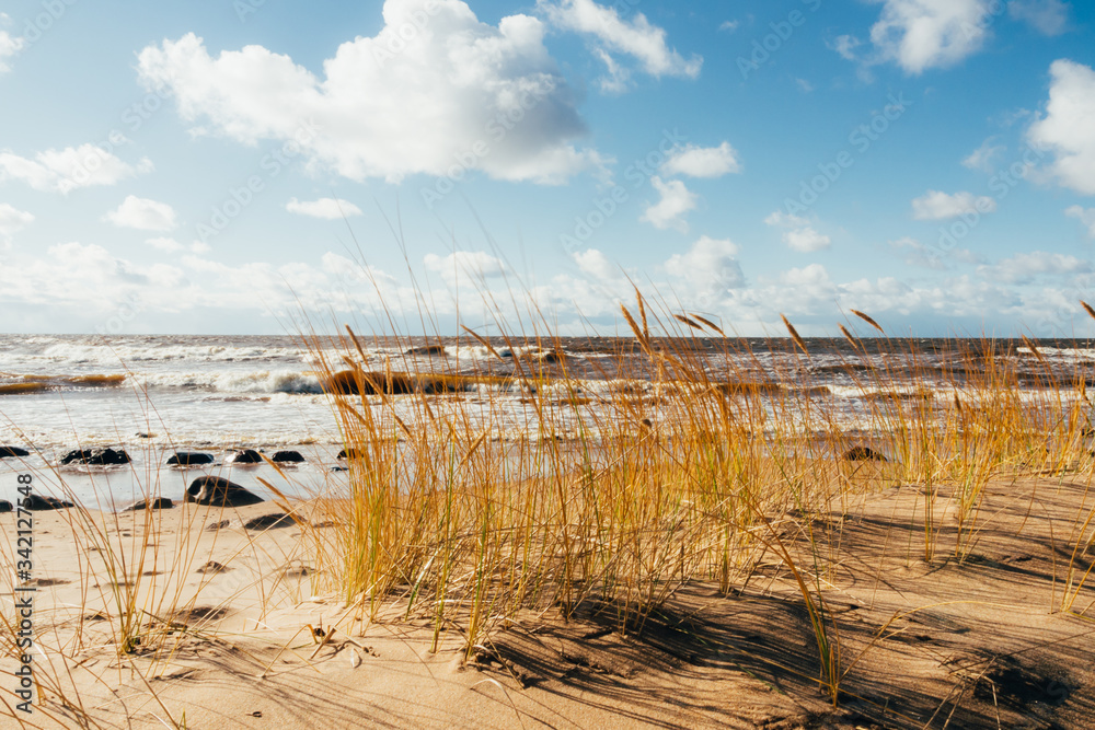 Beach Scene with sand, sea, dune grasses and sky Beach Scene with sand, sea, dune grasses and sky