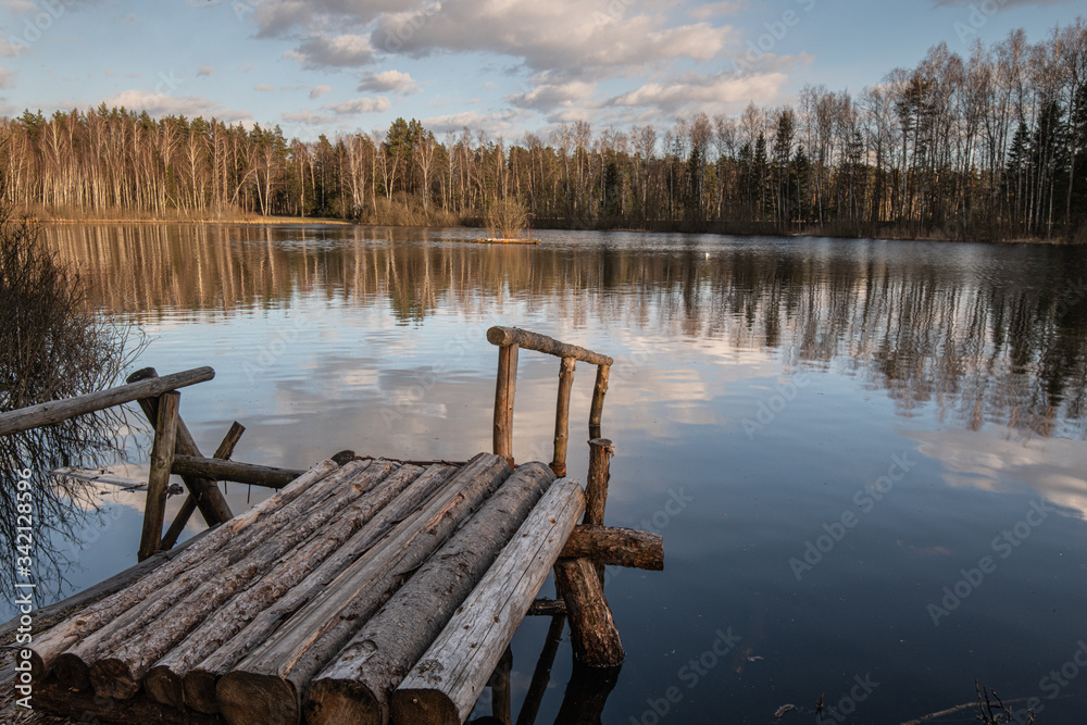 Naklejka premium Forest lake