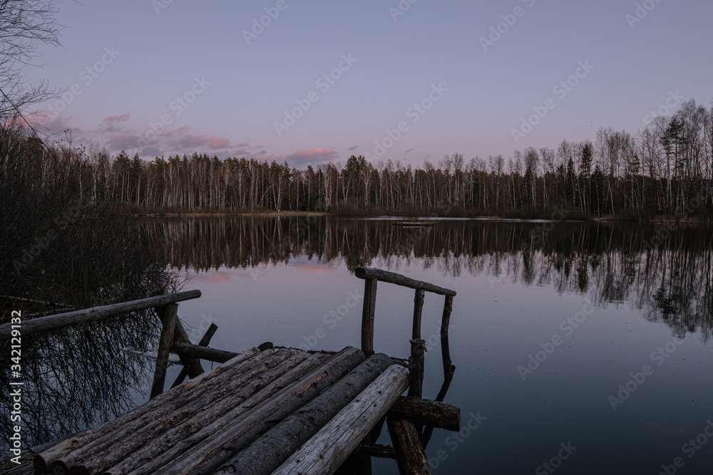Forest lake Forest lake